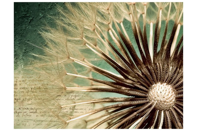 Fototapet Focus On Dandelion 350x270, Artgeist sp. z o. o.