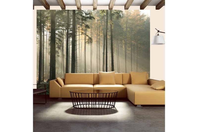 Fototapet Foggy November Morning 400x309 - Artgeist sp. z o. o. - Inredning & dekor - Väggdekor - Tapeter & tapettillbehör - Fototapeter