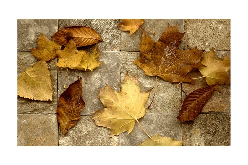 Fototapet Förebud Om Hösten 450x270 - Artgeist sp. z o. o. - Inredning & dekor - Väggdekor - Tapeter & tapettillbehör - Fototapeter