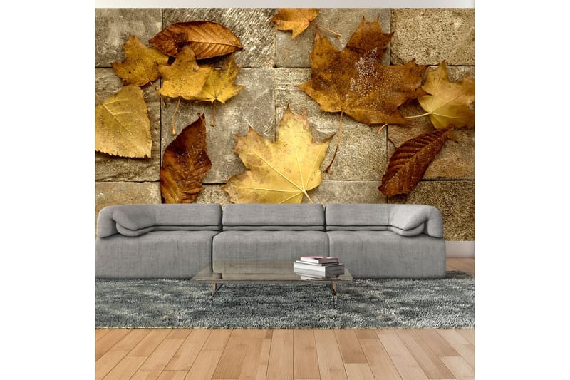 Fototapet Förebud Om Hösten 450x270, Artgeist sp. z o. o.