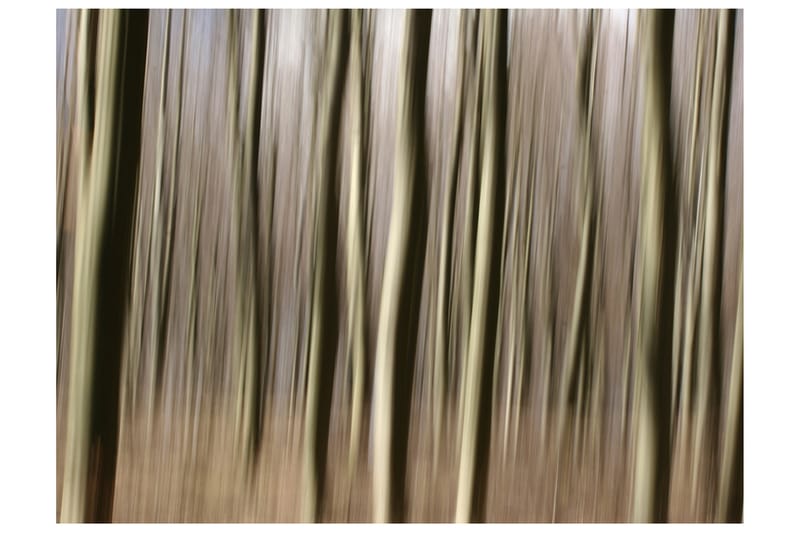 FOTOTAPET Forest 250x193 - Artgeist sp. z o. o. - Inredning & dekor - Väggdekor - Tapeter & tapettillbehör - Fototapeter