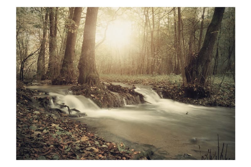 FOTOTAPET Forest Cascade 250x175 - Artgeist sp. z o. o. - Inredning & dekor - Väggdekor - Tapeter & tapettillbehör - Fototapeter