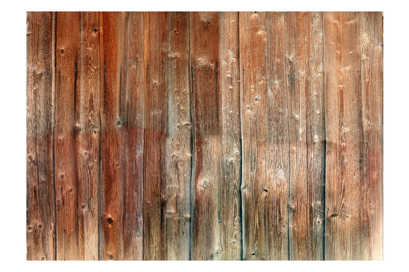 Fototapet Forest Cottage 300x210 - Artgeist sp. z o. o. - Inredning & dekor - Väggdekor - Tapeter & tapettillbehör - Fototapeter