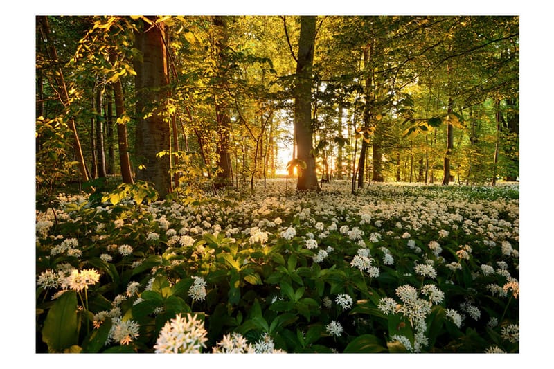 FOTOTAPET Forest Flora 150x105 - Artgeist sp. z o. o. - Inredning & dekor - Väggdekor - Tapeter & tapettillbehör - Fototapeter