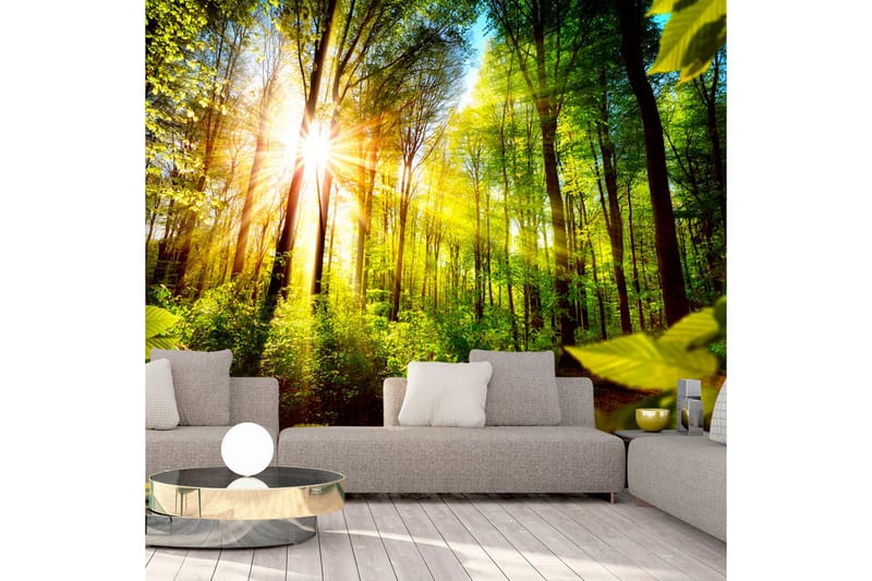 FOTOTAPET Forest Hideout 350x245 - Artgeist sp. z o. o. - Inredning & dekor - Väggdekor - Tapeter & tapettillbehör - Fototapeter