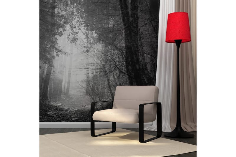 Fototapet Forest Of Shadows 250x193, Artgeist sp. z o. o.