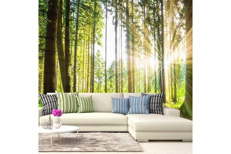 Fototapet Forest Tales 300x210, Artgeist sp. z o. o.