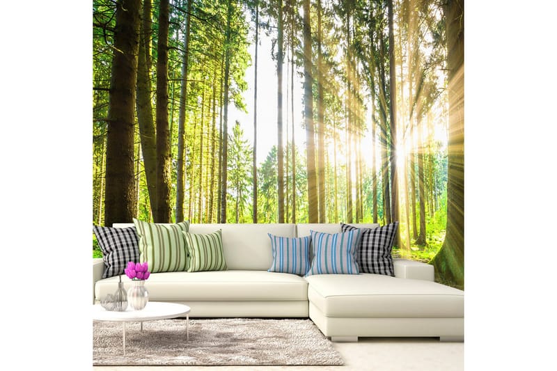 FOTOTAPET Forest Tales 400x280, Artgeist sp. z o. o.