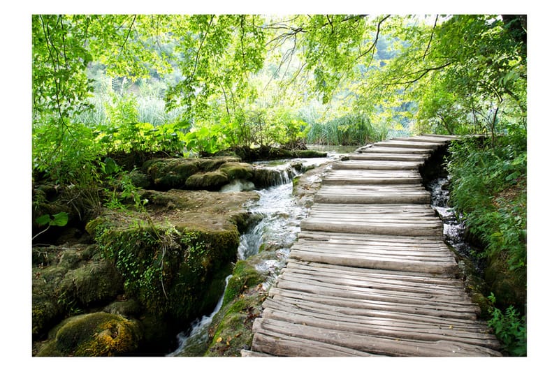 Fototapet Forest Path 250x175, Artgeist sp. z o. o.