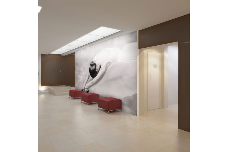 Fototapet Fotografi Ballerina 200x154, Artgeist sp. z o. o.