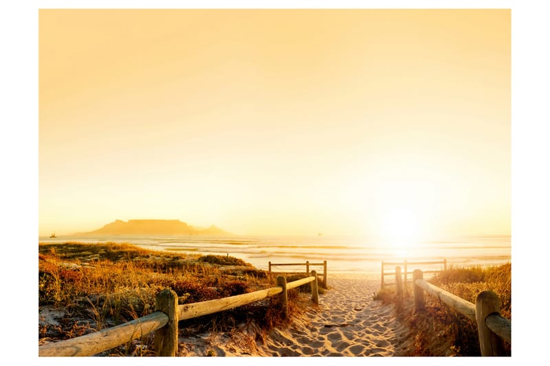 FOTOTAPET Går Riktning Mot Solen 300x231, Artgeist sp. z o. o.