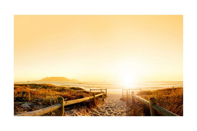 Fototapet Går Riktning Mot Solen 450x270 - Artgeist sp. z o. o. - Inredning & dekor - Väggdekor - Tapeter & tapettillbehör - Fototapeter