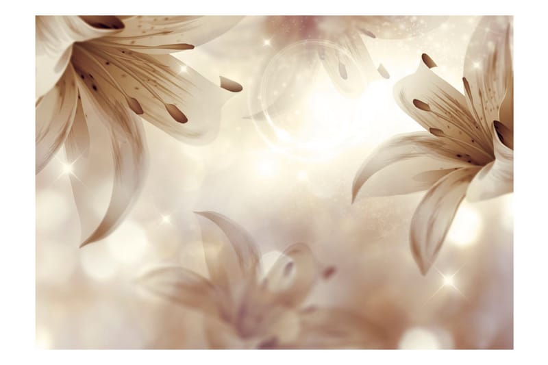 Fototapet Gentle Symphony 400x280 - Artgeist sp. z o. o. - Inredning & dekor - Väggdekor - Tapeter & tapettillbehör - Fototapeter