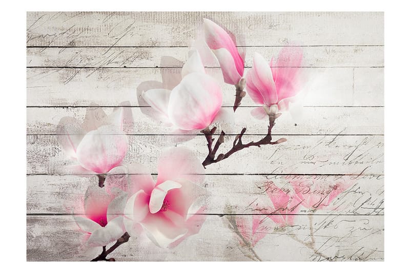 Fototapet Gentleness Of The Magnolia 100x70 - Artgeist sp. z o. o. - Inredning & dekor - Väggdekor - Tapeter & tapettillbehör - Fototapeter
