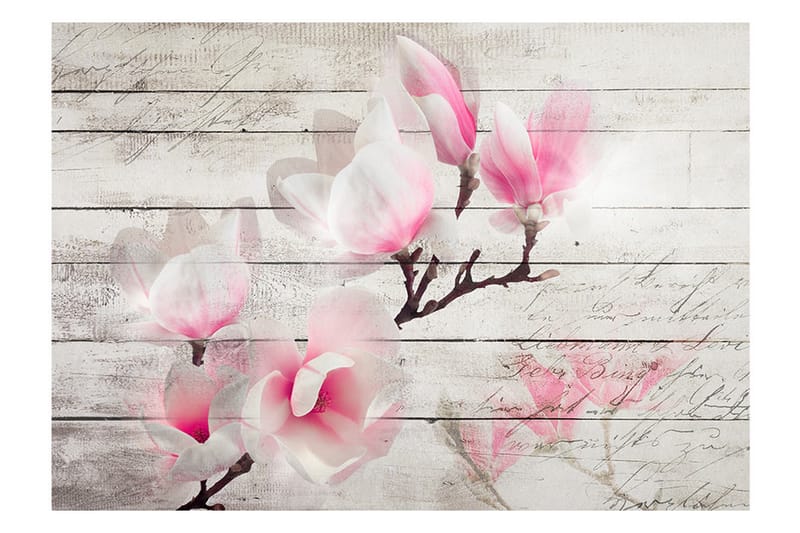 FOTOTAPET Gentleness Of The Magnolia 350x245 - Artgeist sp. z o. o. - Inredning & dekor - Väggdekor - Tapeter & tapettillbehör - Fototapeter
