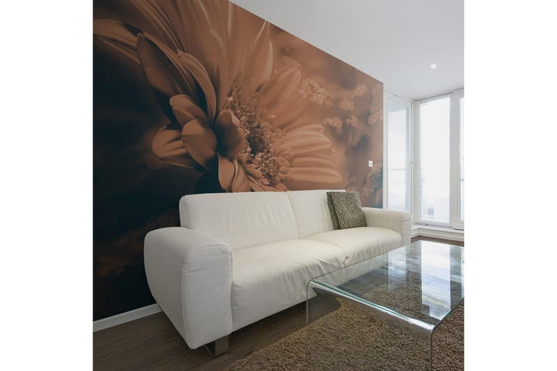 Fototapet Gerbera Brons 200x154, Artgeist sp. z o. o.