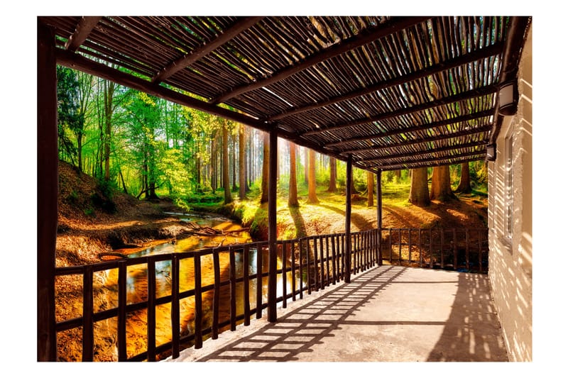 FOTOTAPET Getting Back To Nature 100x70 - Artgeist sp. z o. o. - Inredning & dekor - Väggdekor - Tapeter & tapettillbehör - Fototapeter