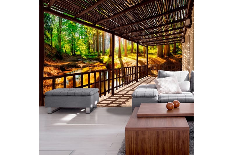 FOTOTAPET Getting Back To Nature 350x245 - Artgeist sp. z o. o. - Inredning & dekor - Väggdekor - Tapeter & tapettillbehör - Fototapeter