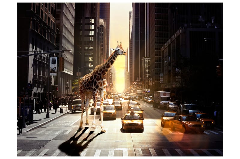 Fototapet Giraff I Den Stora Staden 300x231, Artgeist sp. z o. o.