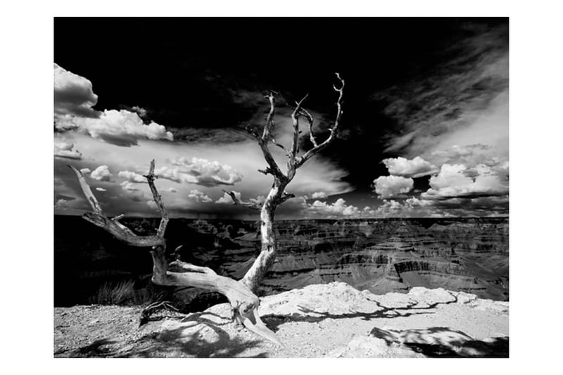 Fototapet Grand Canyon Träd 200x154 - Artgeist sp. z o. o. - Inredning & dekor - Väggdekor - Tapeter & tapettillbehör - Fototapeter