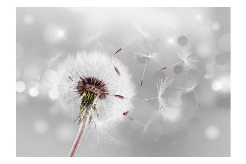 Fototapet Grasping The Invisible 250x175 - Artgeist sp. z o. o. - Inredning & dekor - Väggdekor - Tapeter & tapettillbehör - Fototapeter