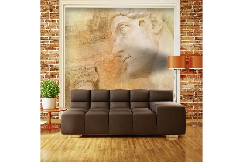 FOTOTAPET Greek God 350x270 - Artgeist sp. z o. o. - Inredning & dekor - Väggdekor - Tapeter & tapettillbehör - Fototapeter