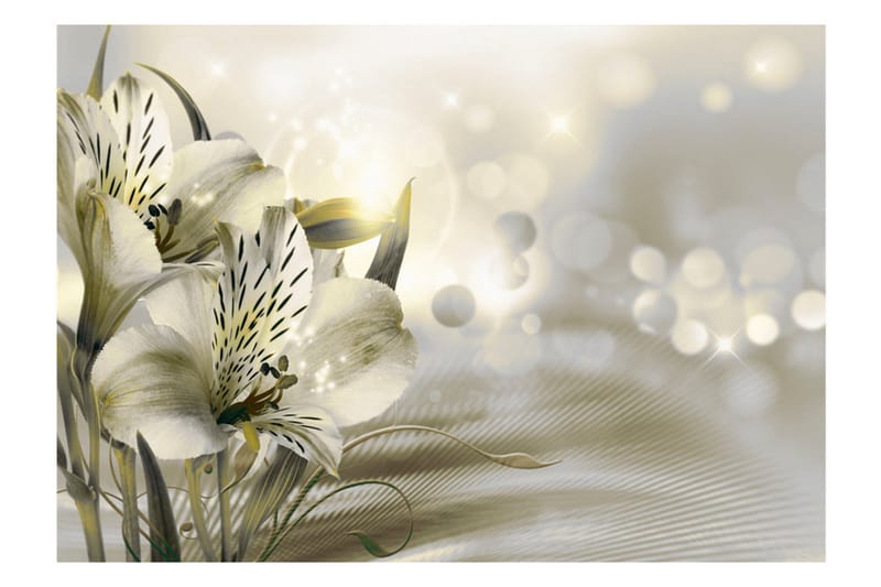 Fototapet Green Daybreak 400x280 - Artgeist sp. z o. o. - Inredning & dekor - Väggdekor - Tapeter & tapettillbehör - Fototapeter