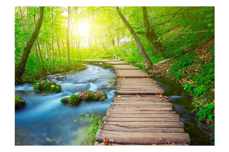 Fototapet Green Forest 150x105 - Artgeist sp. z o. o. - Inredning & dekor - Väggdekor - Tapeter & tapettillbehör - Fototapeter