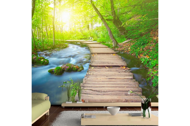 FOTOTAPET Green Forest 300x210 - Artgeist sp. z o. o. - Inredning & dekor - Väggdekor - Tapeter & tapettillbehör - Fototapeter