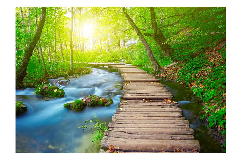 FOTOTAPET Green Forest 350x245 - Artgeist sp. z o. o. - Inredning & dekor - Väggdekor - Tapeter & tapettillbehör - Fototapeter