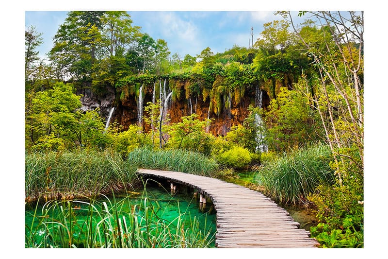 FOTOTAPET Green Oasis 250x175 - Artgeist sp. z o. o. - Inredning & dekor - Väggdekor - Tapeter & tapettillbehör - Fototapeter