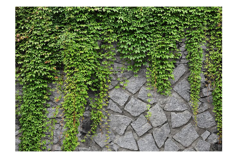 FOTOTAPET Green Wall 400x280 - Artgeist sp. z o. o. - Inredning & dekor - Väggdekor - Tapeter & tapettillbehör - Fototapeter