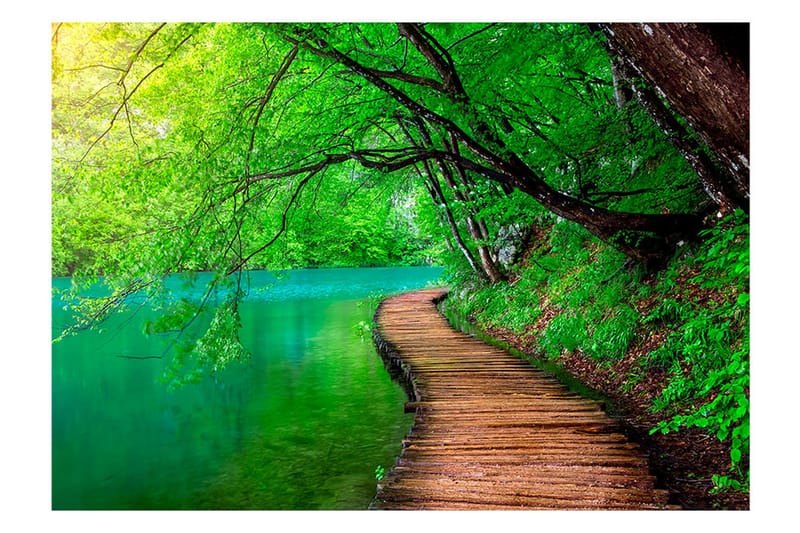 FOTOTAPET Green Peace 100x70 - Artgeist sp. z o. o. - Inredning & dekor - Väggdekor - Tapeter & tapettillbehör - Fototapeter