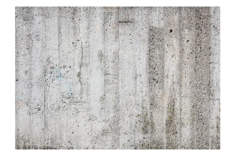 Fototapet Grey Emperor 300x210 - Artgeist sp. z o. o. - Inredning & dekor - Väggdekor - Tapeter & tapettillbehör - Fototapeter