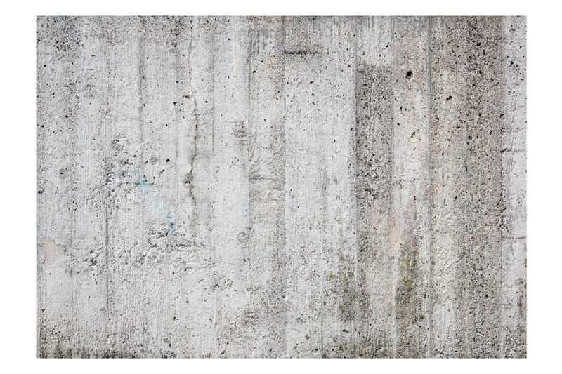 Fototapet Grey Emperor 400x280 - Artgeist sp. z o. o. - Inredning & dekor - Väggdekor - Tapeter & tapettillbehör - Fototapeter