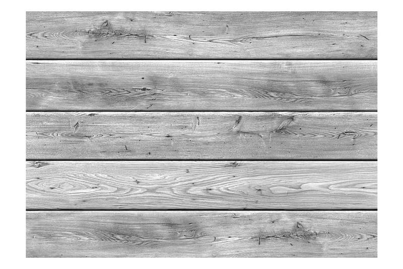 Fototapet Grey Kingdom 350x245 - Artgeist sp. z o. o. - Inredning & dekor - Väggdekor - Tapeter & tapettillbehör - Fototapeter