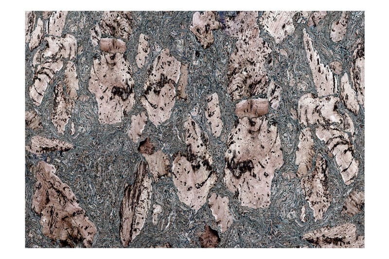 FOTOTAPET Grey Stopper 100x70, Artgeist sp. z o. o.