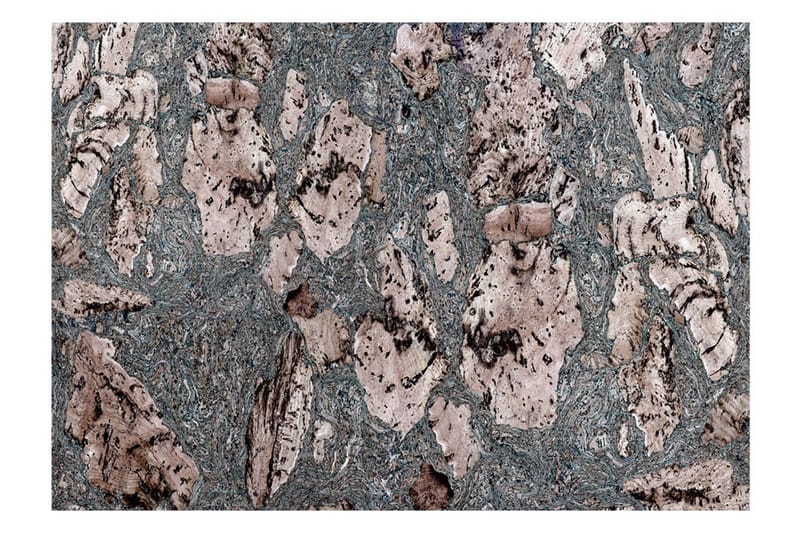 FOTOTAPET Grey Stopper 400x280, Artgeist sp. z o. o.