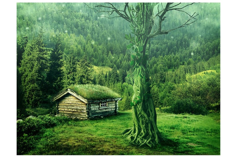 Fototapet Grön Avskildhet 350x270 - Artgeist sp. z o. o. - Inredning & dekor - Väggdekor - Tapeter & tapettillbehör - Fototapeter