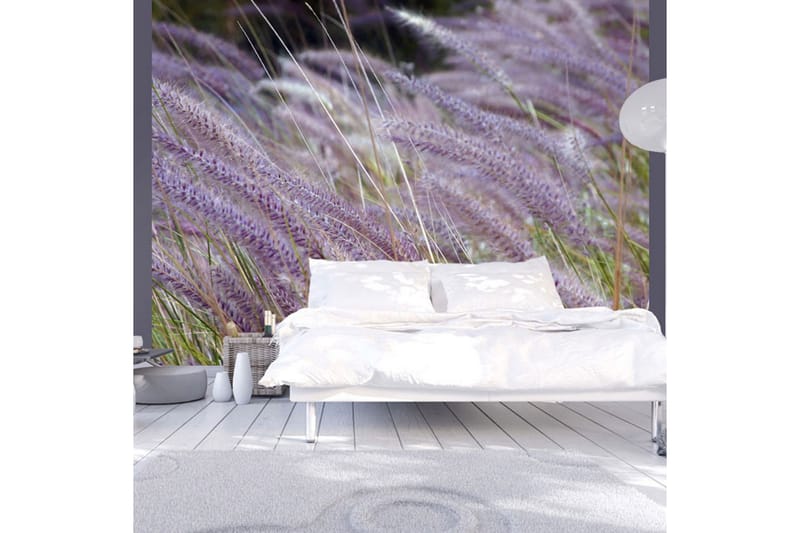 FOTOTAPET Grönt Fält Och Lila Blommor 350x270 - Artgeist sp. z o. o. - Inredning & dekor - Väggdekor - Tapeter & tapettillbehör - Fototapeter