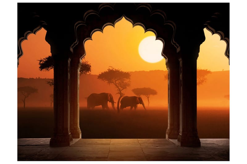 Fototapet Hear Africa 300x231 - Artgeist sp. z o. o. - Inredning & dekor - Väggdekor - Tapeter & tapettillbehör - Fototapeter