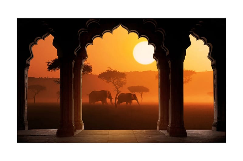 Fototapet Hear Africa 450x270 - Artgeist sp. z o. o. - Inredning & dekor - Väggdekor - Tapeter & tapettillbehör - Fototapeter