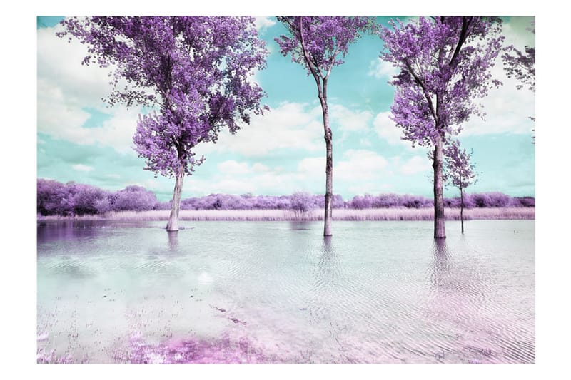 FOTOTAPET Heather Landscape 200x140 - Artgeist sp. z o. o. - Inredning & dekor - Väggdekor - Tapeter & tapettillbehör - Fototapeter