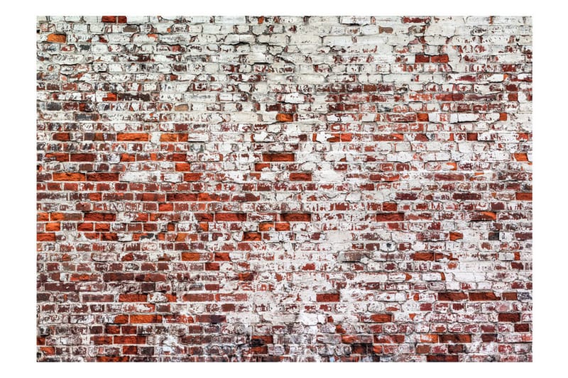 FOTOTAPET Her Highness The Brick 150x105 - Artgeist sp. z o. o. - Inredning & dekor - Väggdekor - Tapeter & tapettillbehör - Fototapeter