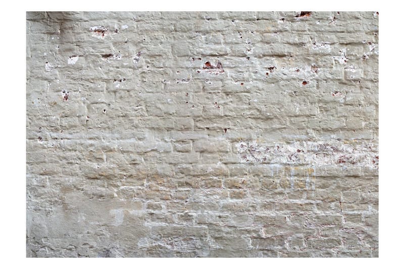 FOTOTAPET Hidden Harmony 150x105 - Artgeist sp. z o. o. - Inredning & dekor - Väggdekor - Tapeter & tapettillbehör - Fototapeter