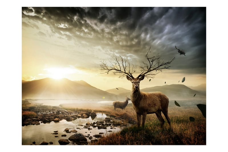 FOTOTAPET Hjortar Och Fjällbäck 250x193 - Artgeist sp. z o. o. - Inredning & dekor - Väggdekor - Tapeter & tapettillbehör - Fototapeter