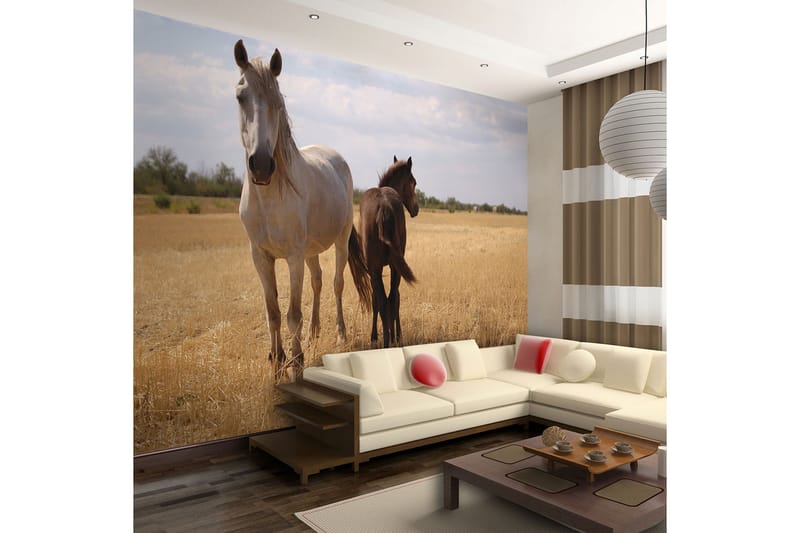 FOTOTAPET Horse And Foal 250x193 - Artgeist sp. z o. o. - Inredning & dekor - Väggdekor - Tapeter & tapettillbehör - Fototapeter