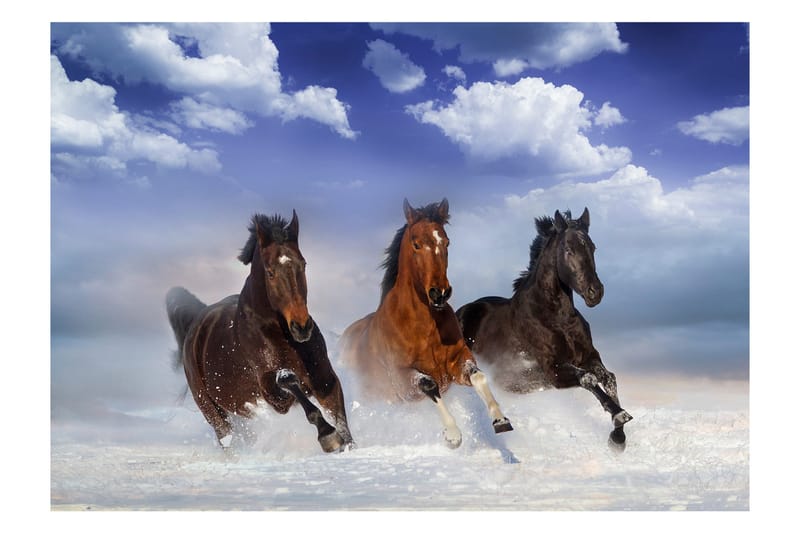 Fototapet Horses In The Snow 150x105 - Artgeist sp. z o. o. - Inredning & dekor - Väggdekor - Tapeter & tapettillbehör - Fototapeter
