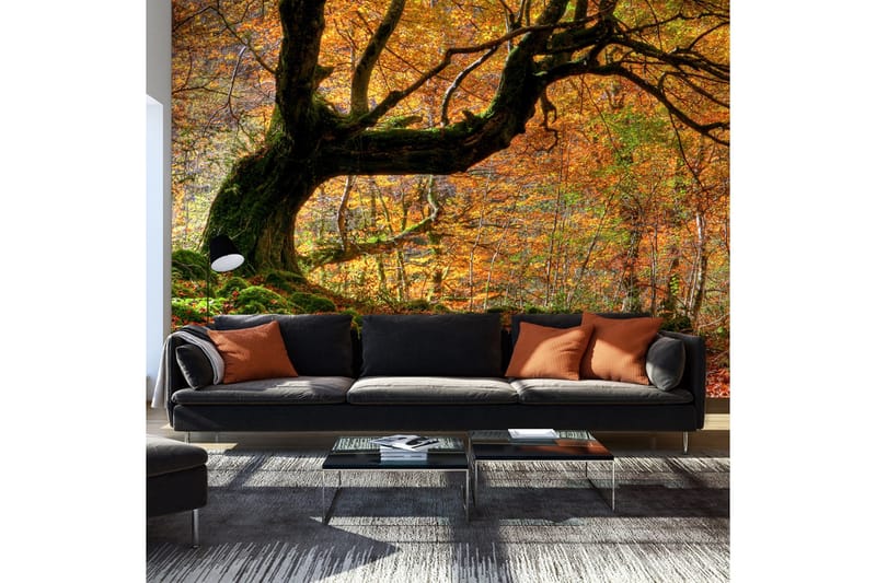 Fototapet Höst Skog Och Löv 450x270, Artgeist sp. z o. o.