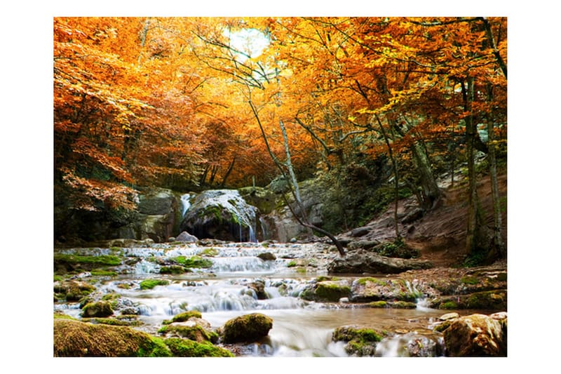 Fototapet Höst Vattenfall 400x309, Artgeist sp. z o. o.